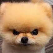 〘Ł€Ꮆ€ŇĐ〙♔ 007